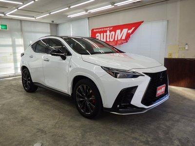 LEXUS NX - 6