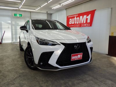 LEXUS NX - 1