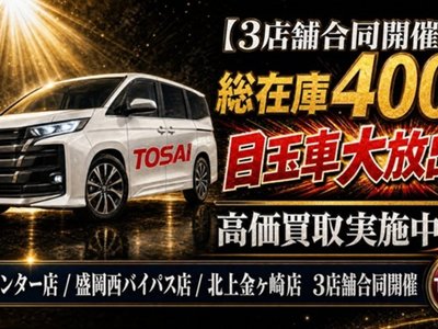 TOYOTA ALPHARD - 3