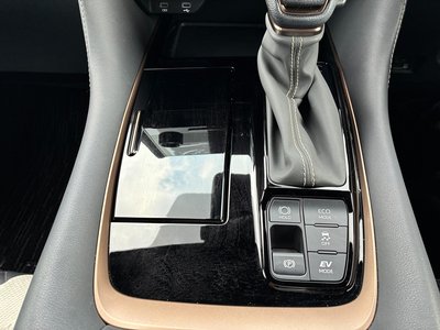 صورة مصغرة 38 لـ 2025 TOYOTA ALPHARD