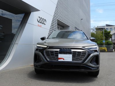 2025 AUDI Q8 E-TRON — фото 2