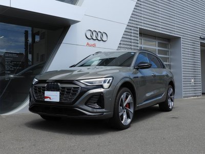 2025 AUDI Q8 E-TRON — фото 1