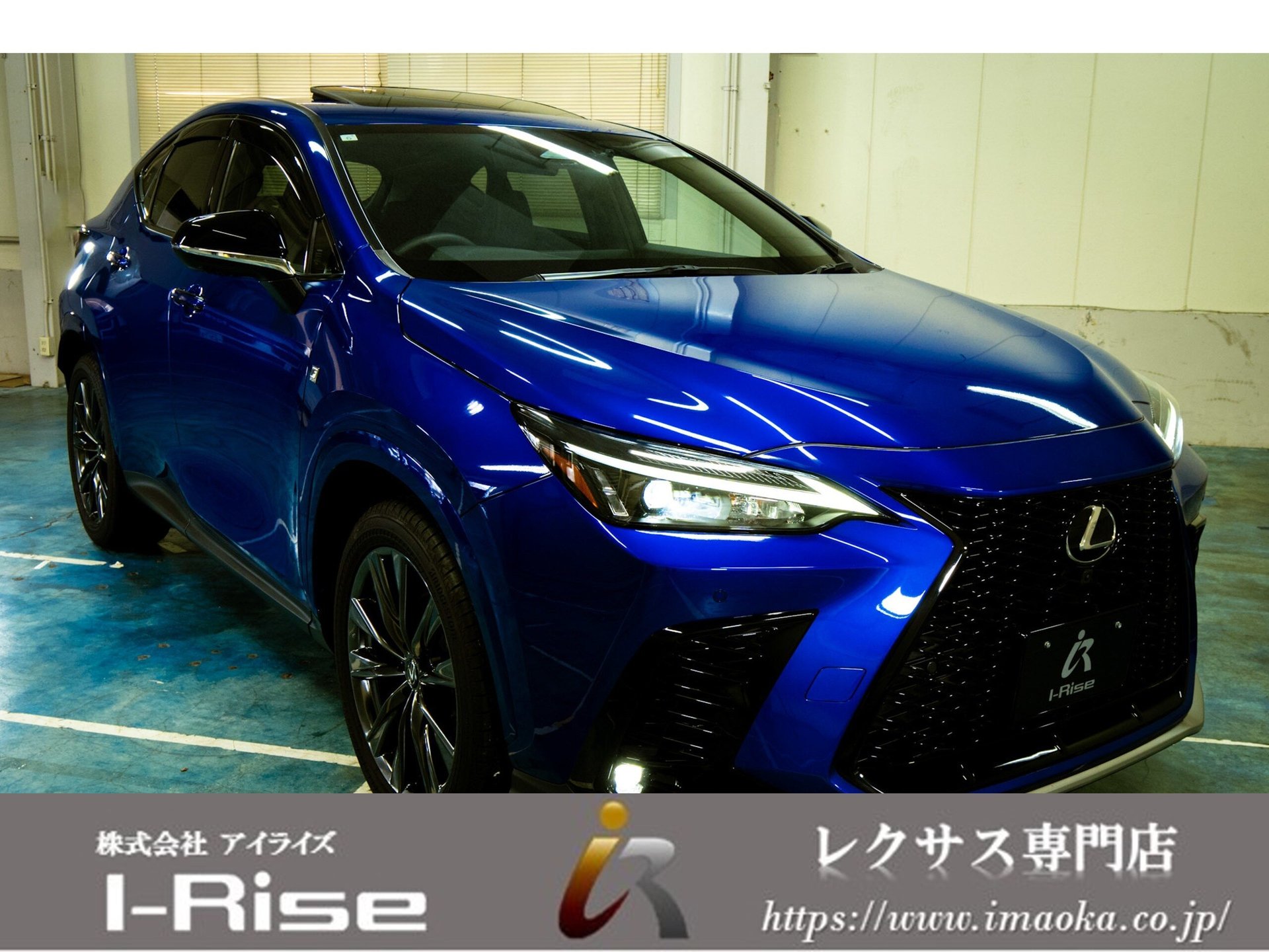 LEXUS NX - View 1