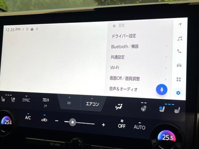 2025 Toyota ALPHARD thumbnail 76
