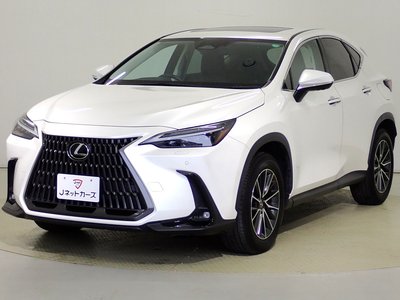 LEXUS NX - 10
