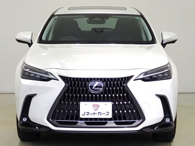 LEXUS NX - 9