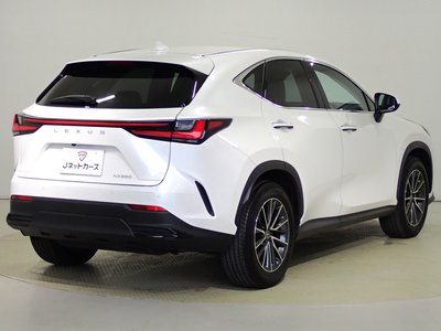 LEXUS NX - 8