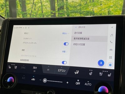 صورة مصغرة 73 لـ 2024 Toyota ALPHARD