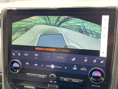 2025 Toyota ALPHARD 照片 59