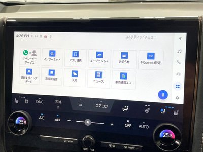 2025 Toyota ALPHARD 照片 39