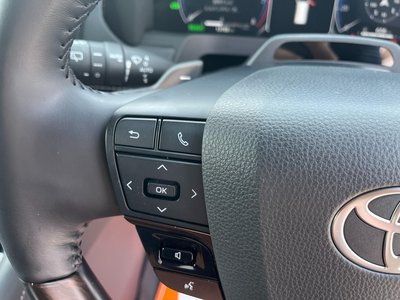 2025 Toyota ALPHARD 缩略图 22