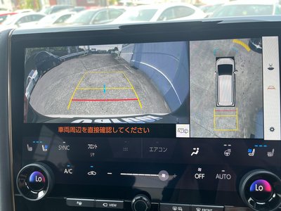 2025 Toyota ALPHARD photo 10