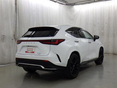LEXUS NX - 6