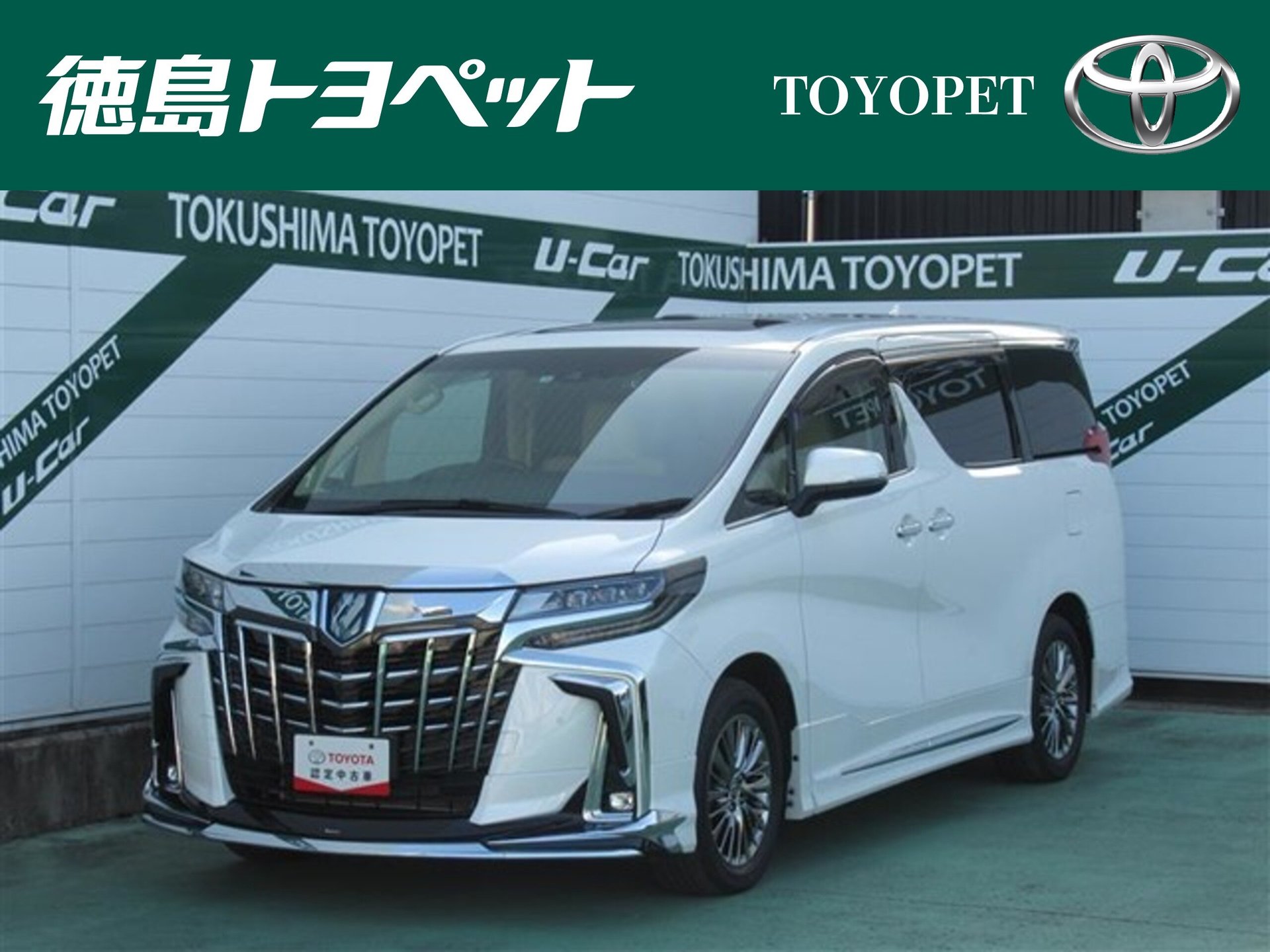 TOYOTA ALPHARD - View 1