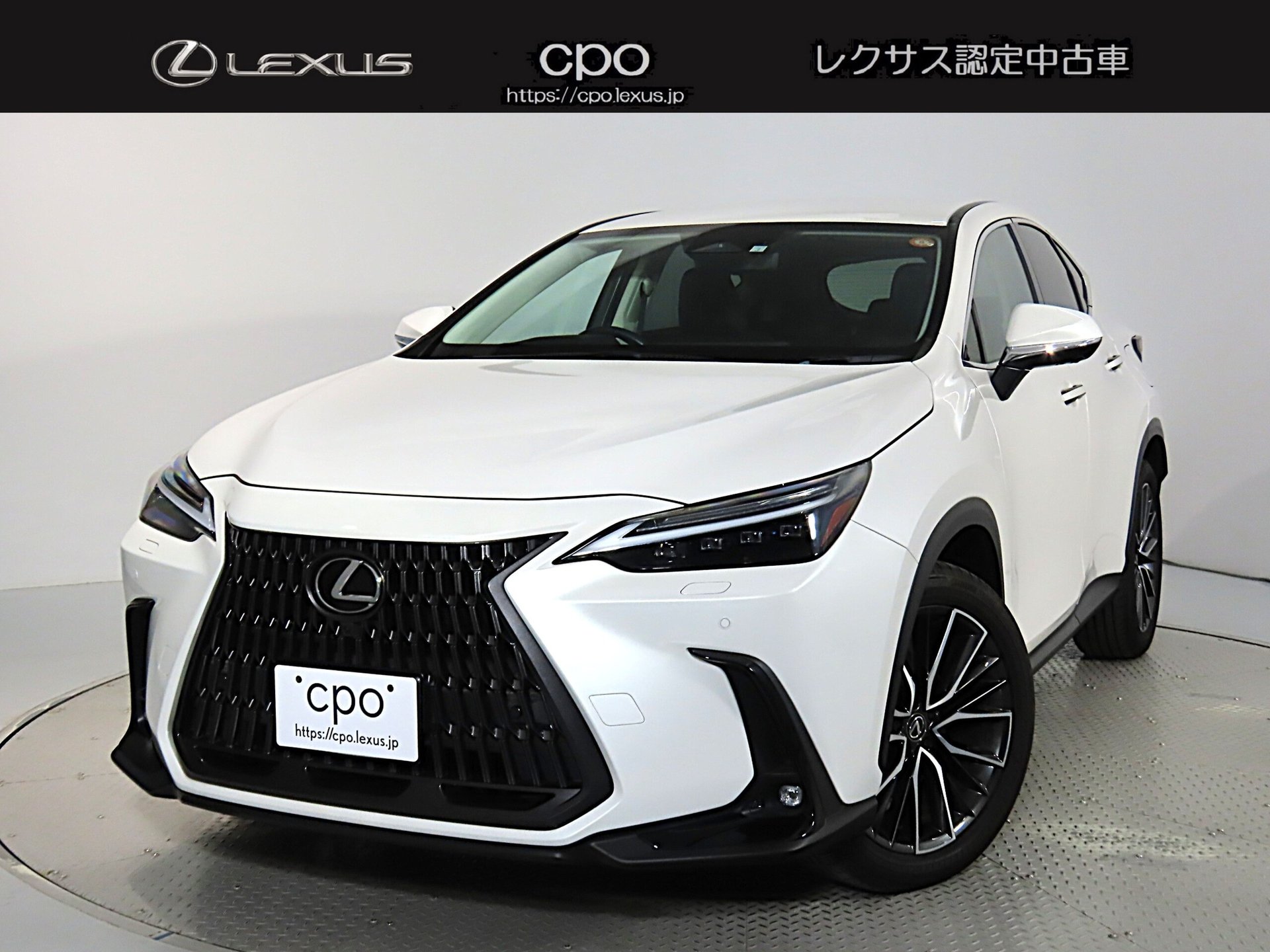 LEXUS NX - View 1