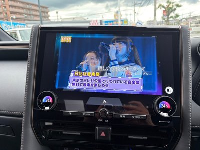 صورة مصغرة 16 لـ 2025 TOYOTA ALPHARD