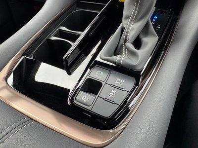صورة مصغرة 22 لـ 2025 TOYOTA ALPHARD