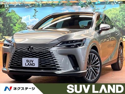 LEXUS RX - 1