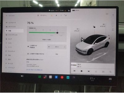 2026 Tesla MODEL Y 照片 6