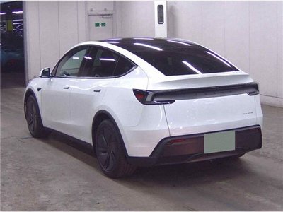 2026 Tesla MODEL Y 照片 3