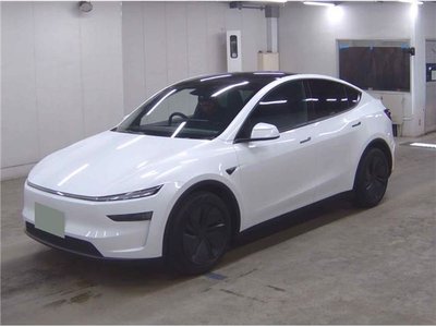 2026 Tesla MODEL Y 照片 2