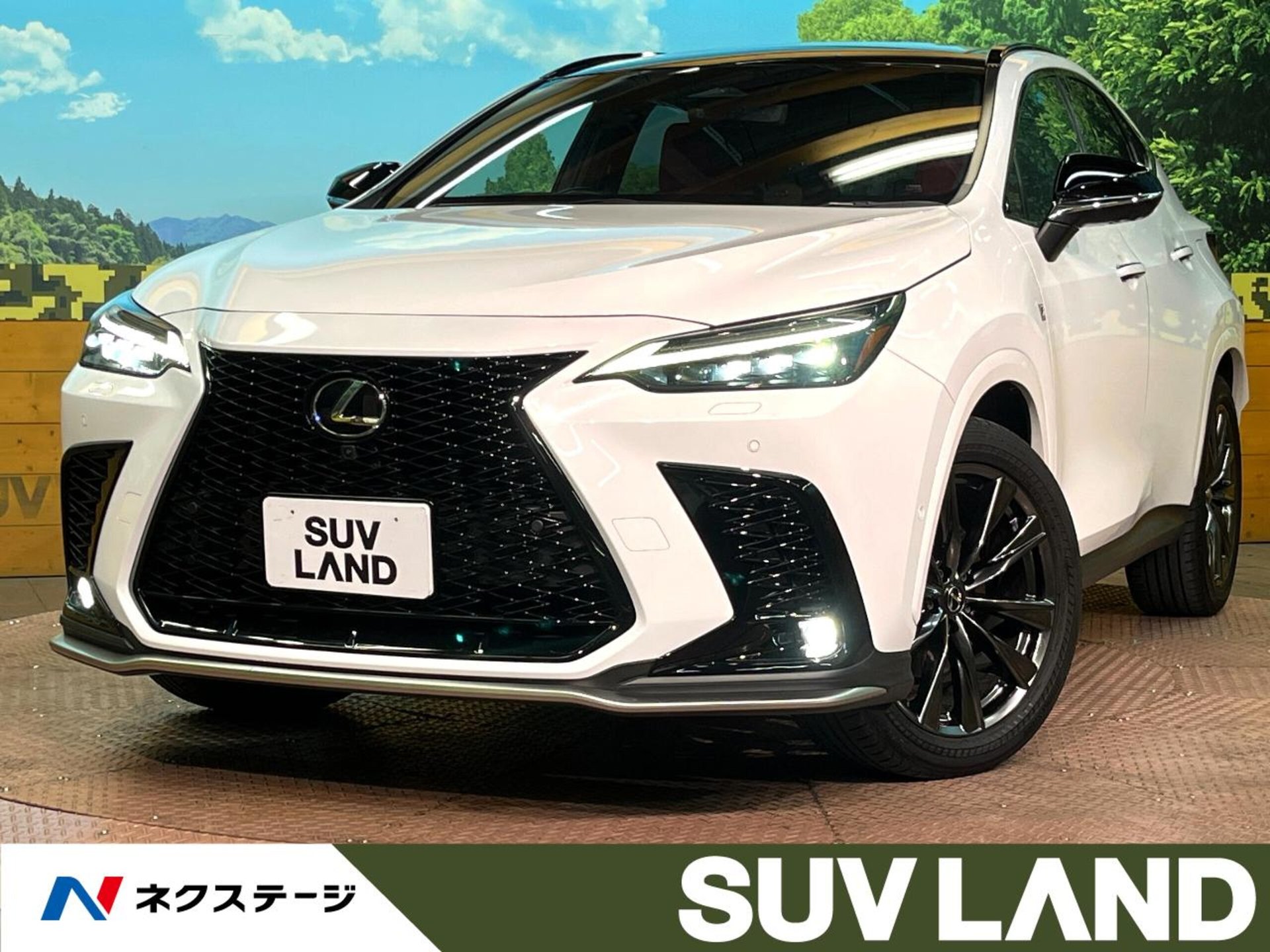 LEXUS NX - View 1