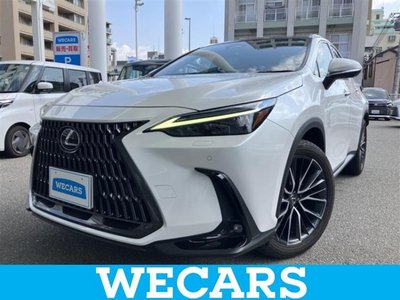 LEXUS NX - 1