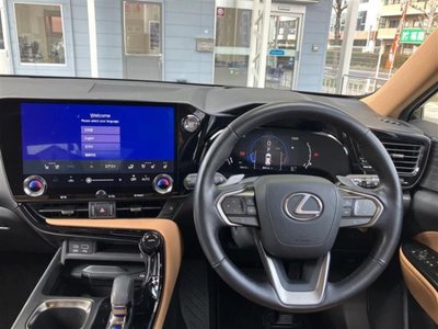 LEXUS NX - 4