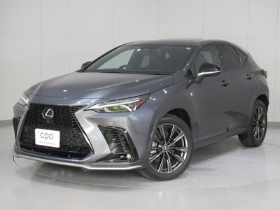 LEXUS NX - 1