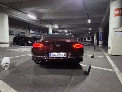 BENTLEY CONTINENTAL - 6