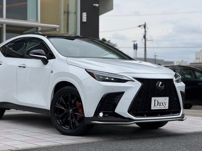 LEXUS NX - 8