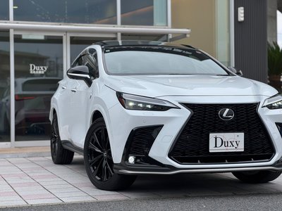 LEXUS NX - 10