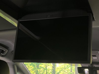 2025 TOYOTA ALPHARD photo 6
