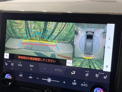 2025 TOYOTA ALPHARD thumbnail 36