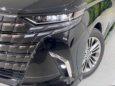 2025 TOYOTA ALPHARD thumbnail 12