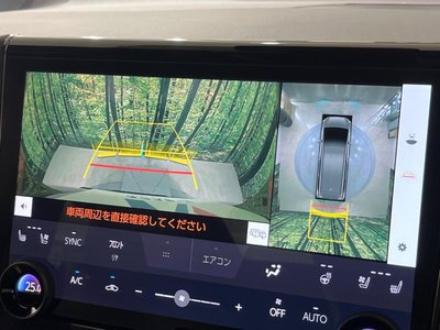 2025 TOYOTA ALPHARD thumbnail 71