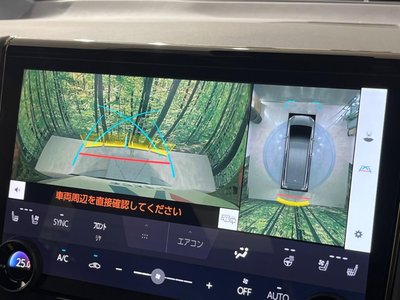 2025 TOYOTA ALPHARD thumbnail 72