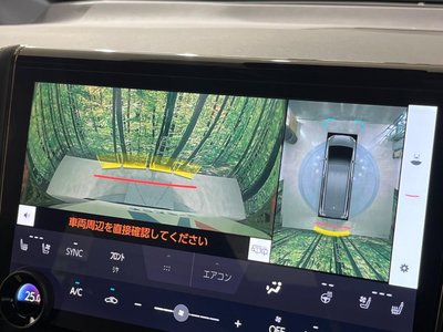 2025 TOYOTA ALPHARD thumbnail 73
