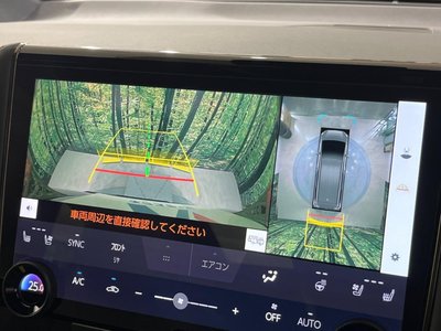 2025 TOYOTA ALPHARD thumbnail 74