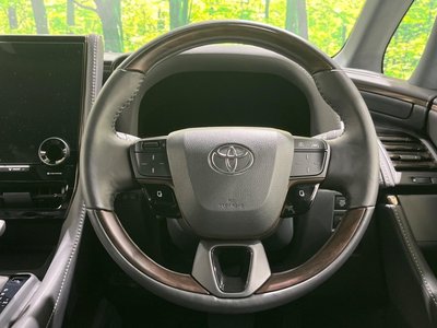 2025 TOYOTA ALPHARD thumbnail 11