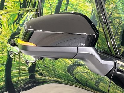 2025 TOYOTA ALPHARD thumbnail 28
