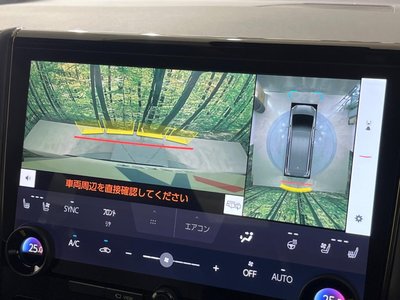 2025 TOYOTA ALPHARD thumbnail 69