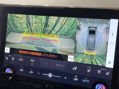 2025 TOYOTA ALPHARD thumbnail 70