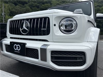 2019 Mercedes-BENZ G-CLASS AMG 缩略图 41