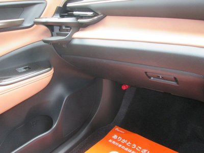 2024 Toyota CROWN SPORT 缩略图 31