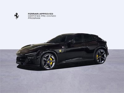 FERRARI PUROSANGUE - 9