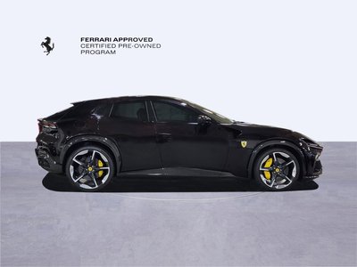FERRARI PUROSANGUE - 7