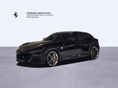 FERRARI PUROSANGUE - 10