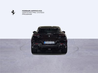 FERRARI PUROSANGUE - 5