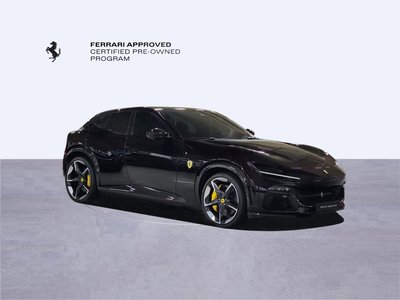 FERRARI PUROSANGUE - 3